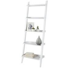 Ladder Shelf