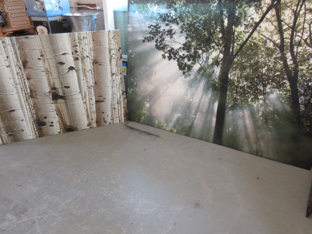 lot 645 image: NATURE ART