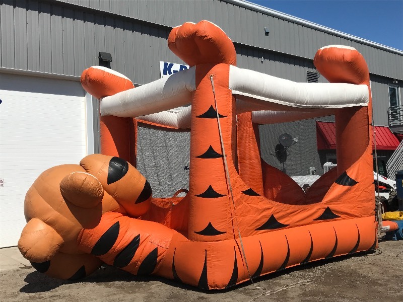 Party Rental Inflatable