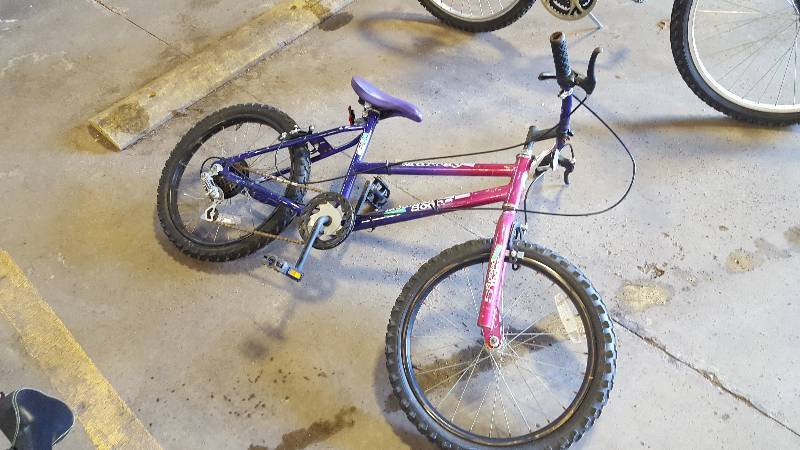 lot 406 image: Murray Mountain Scene  Girls Bike with Purple 13in. Frame, 16in. Wheel
