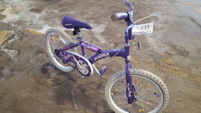 Magna Precious Pearls Girls Bike with Purple 10.5in. Frame 15in