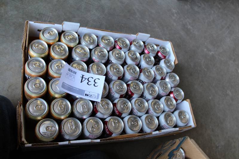 lot 334 image: 12oz. Cans Diet Dr. Pepper
