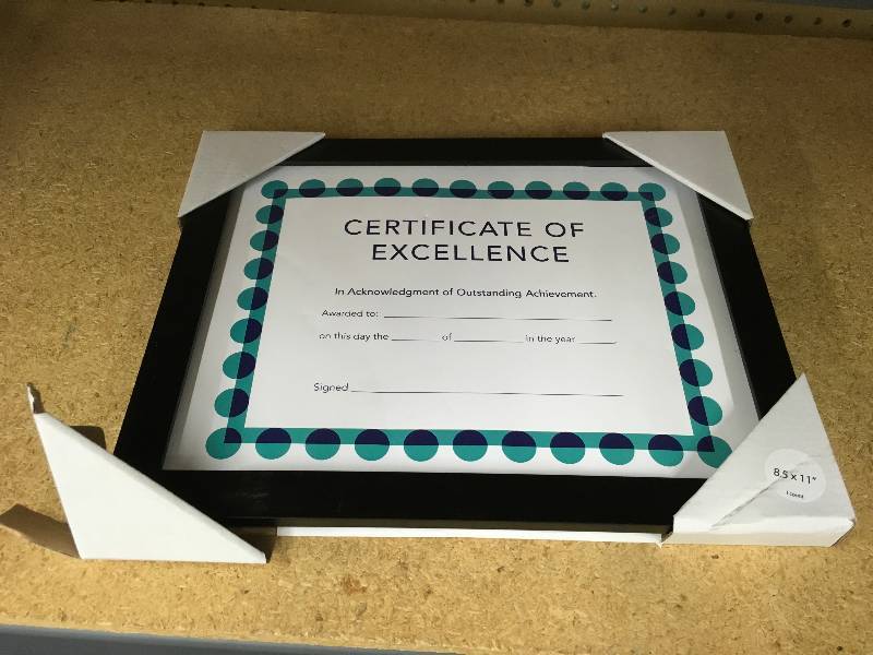 lot 294 image: 8.5 X 11 DOCUMENT FRAME