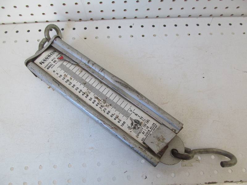 lot 88 image: Hanson Model 8910 The Viking  100# scale