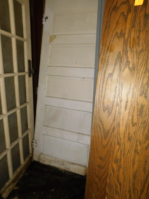 lot 490 image: WOOD DOOR