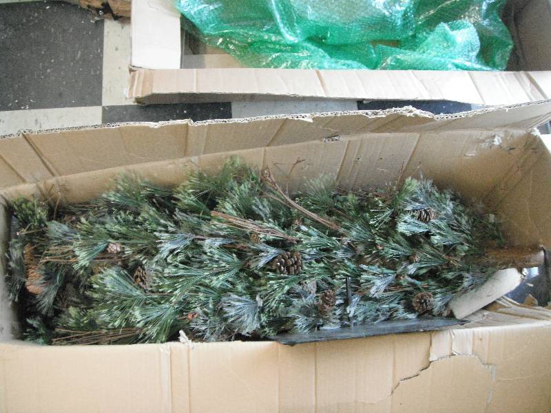 Alpine Tree
