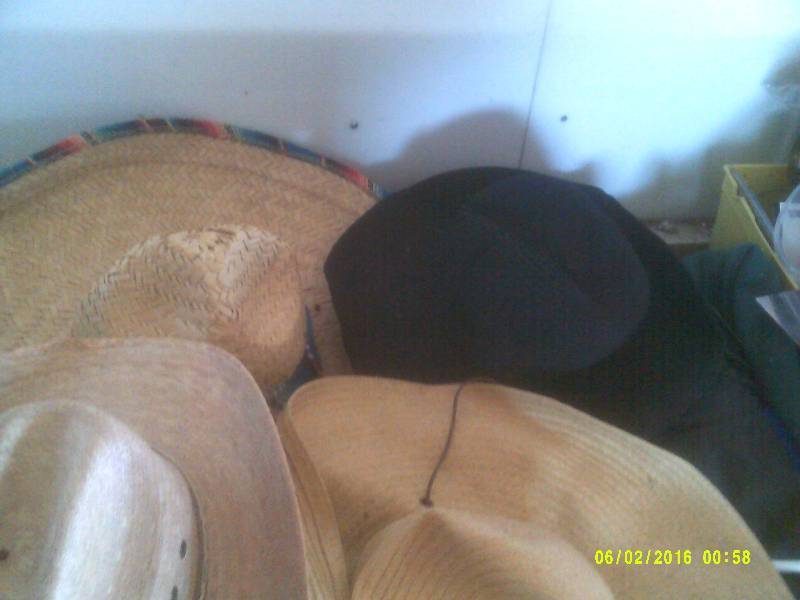 3 VINTAGE HATS 1 COW HATS