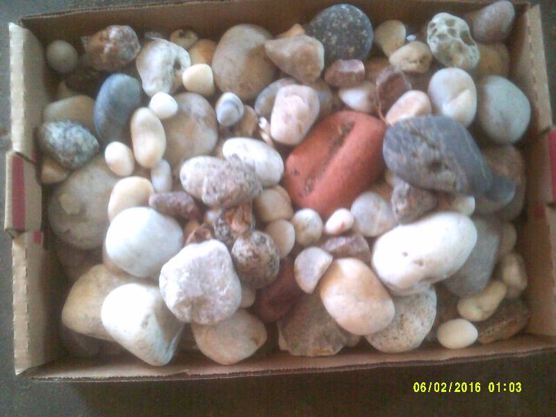 MULTICOLORED ROCKS