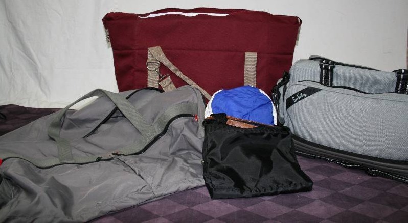 lot 44 image: Bags and Cooler Bag
