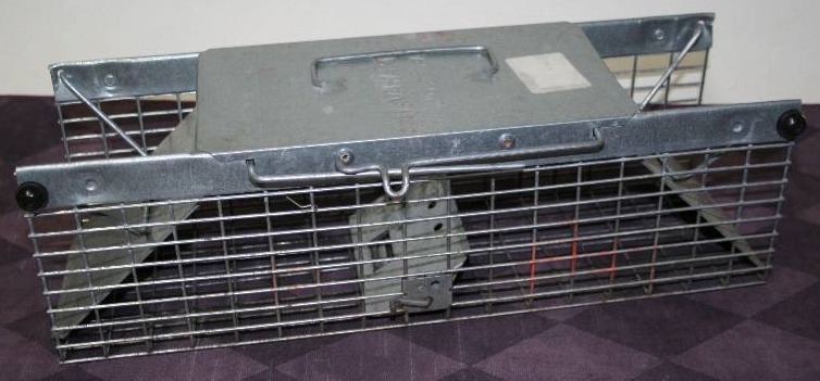 lot 73 image: Live Trap
