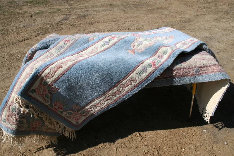 lot 149 image: Rugs