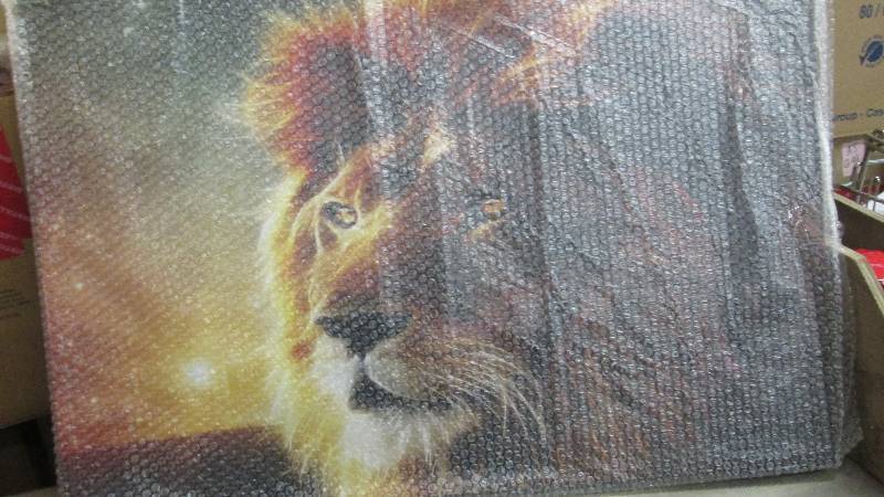 lot 261 image: Lion Eyes Canvas open box, untested...
