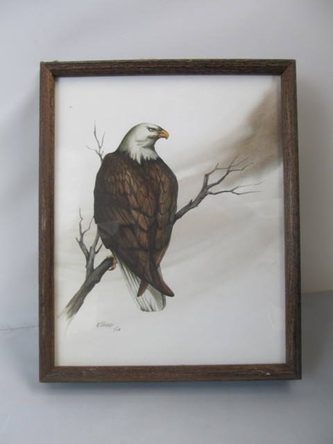 lot 21 image: Original Signed KIT SHOOP Watercolor Eagle Painting