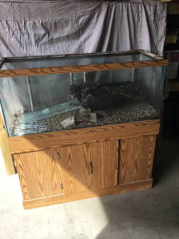 75 Gallon Fish Tank with Stand - with lots of Accessories