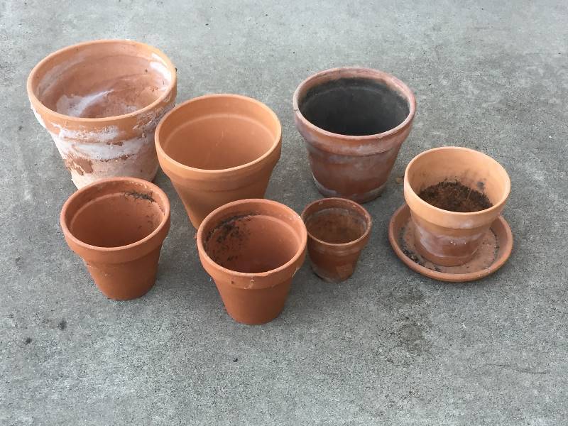 lot 126 image: Clay Pots