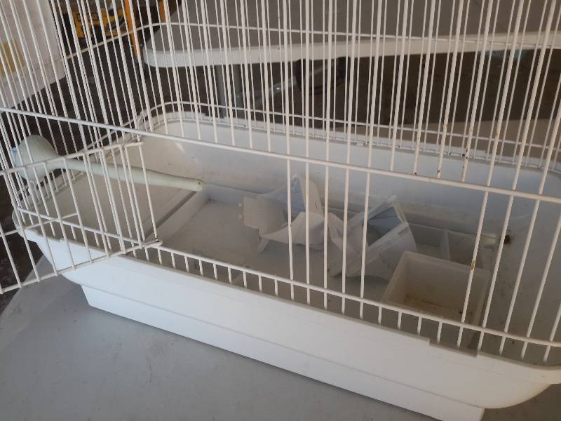 Bird Cage