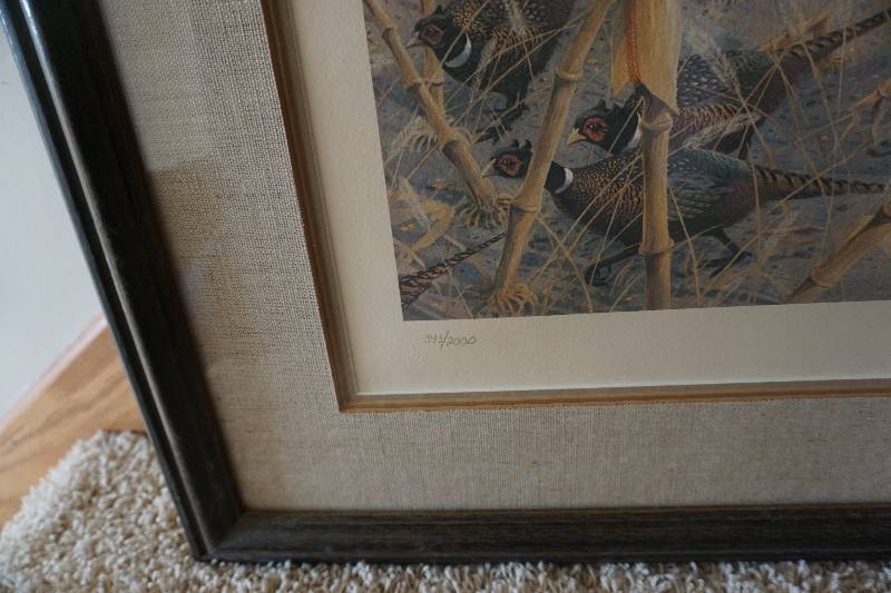 Les Kouba Corn Pickin in The 1930s  Framed Print