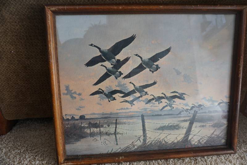 Les Kouba Canadian Geese Over The Pond Themed Framed Print