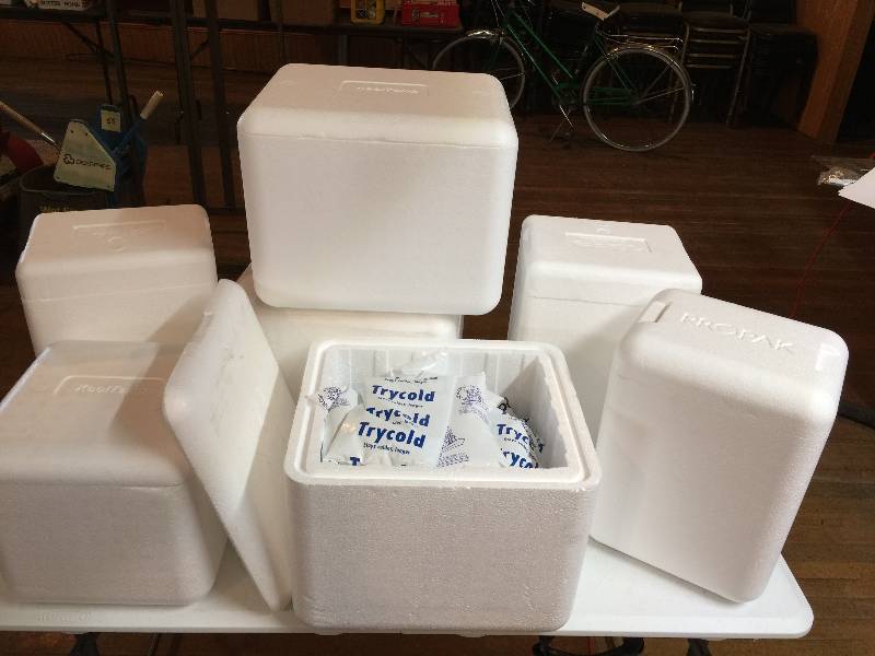 lot 96 image: Styrofoam Coolers & Ice Packs