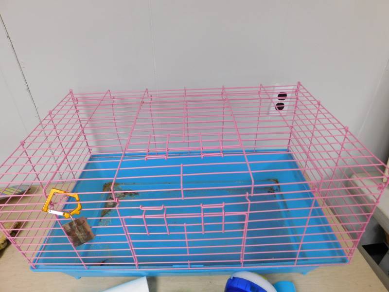 lot 27 image: HamsterGerbil Crate