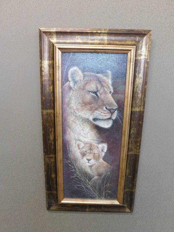 lot 37 image: Safarri Animal Pictures - 13 x 25