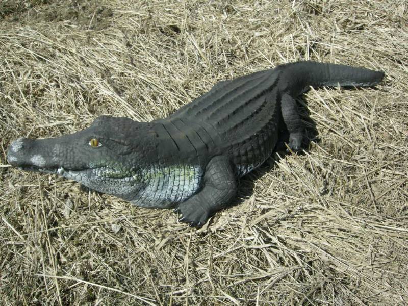 lot 1 image: Large Resin Alligator Figure