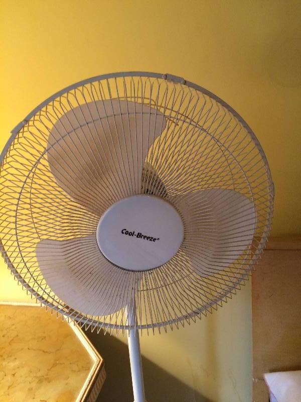 lot 10 image: Cool Breeze Standing Oscillating Fan - Works