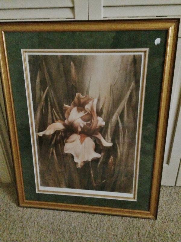 lot 41 image: Large Framed Matted Iris Print Signed by Denton