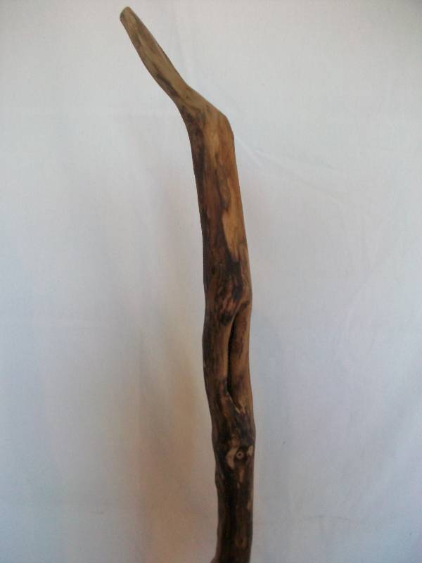 lot 24 image: Wood Canes