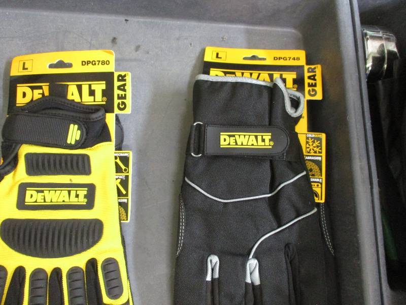 dewalt dpg780