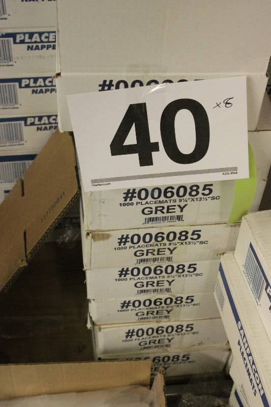 8000 Paper Placemats in Grey