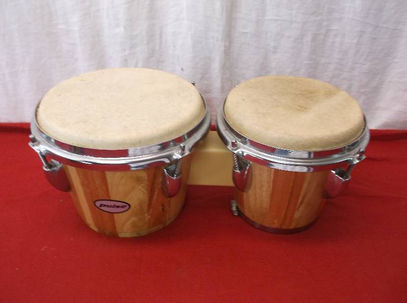 Bongo Drums