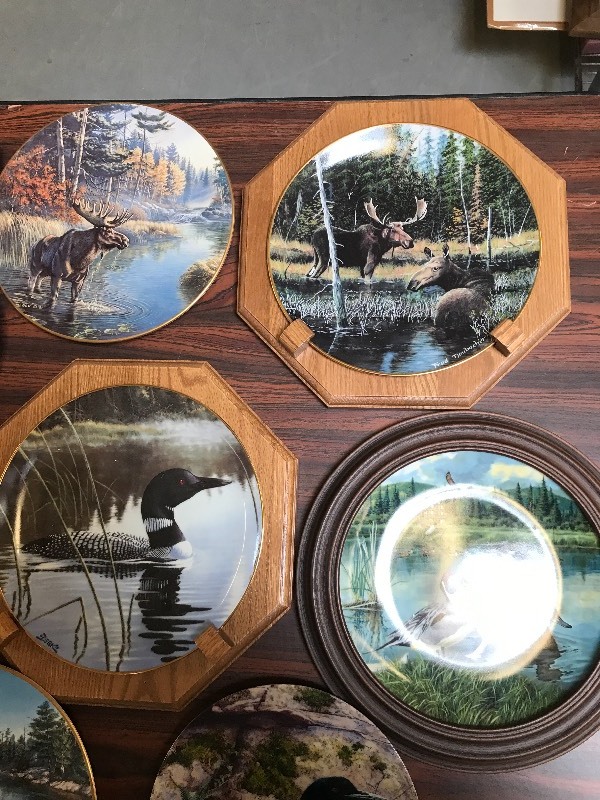 LOT OF WILDLIFE THEMED COLLECTOR PLATES