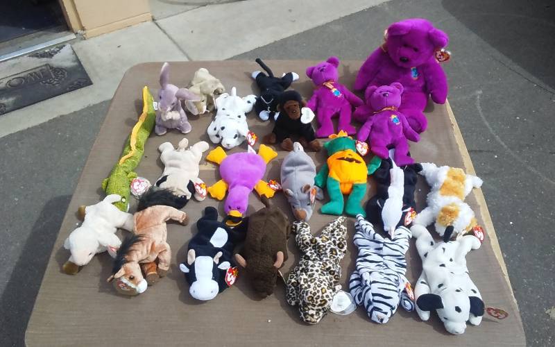 21-Beanie Babies, 1-Beanie Buddy