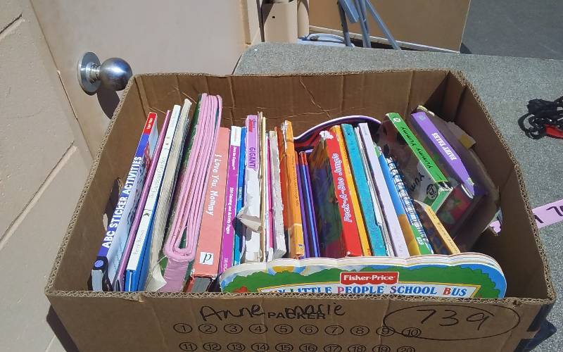 Box Lot Of Kids Story Books