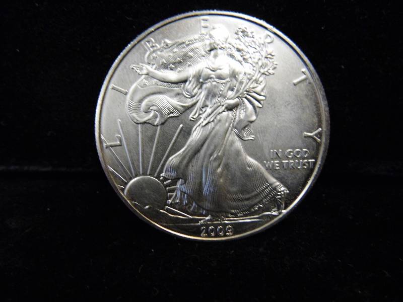 Painted Silver Dollar Ounce of Silver