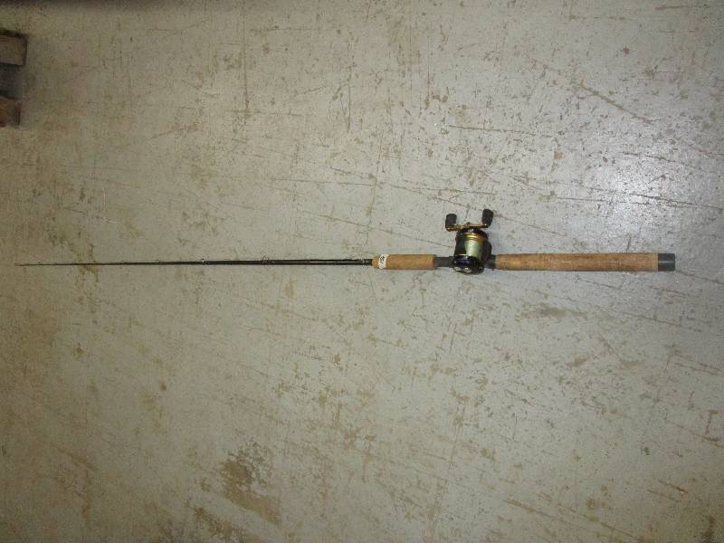 lot 146 image: Fenwick Pole w Abu Garcia 6600 C4 Reel