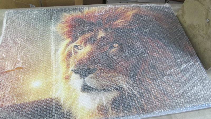 Lion Eyes Canvas open box, untested...