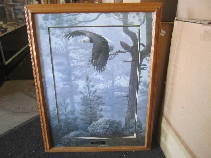 Large Framed Eagle Print Shrouded ...