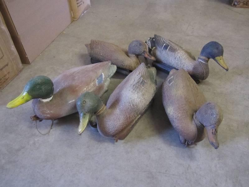 Lot of 5 Duck Decoys  A-4T...