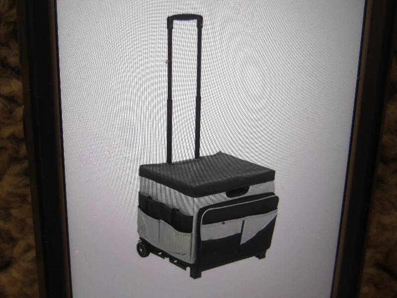 Universal Rolling Cart with Organiz...