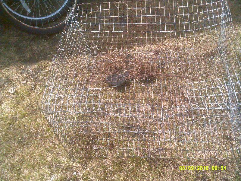 WIRE RABBIT CAGE