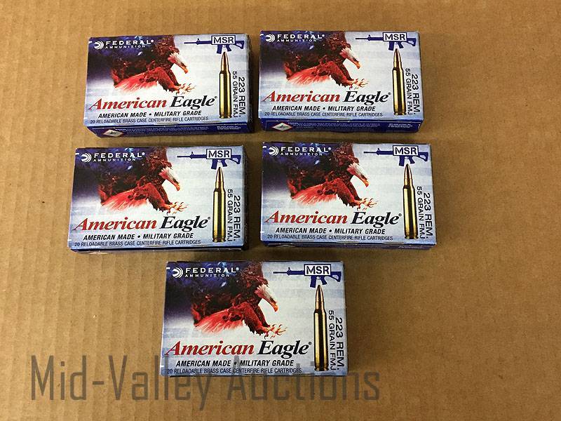 lot 53 image: 5 Boxes Federal 223 REM 55 Grain FMJ