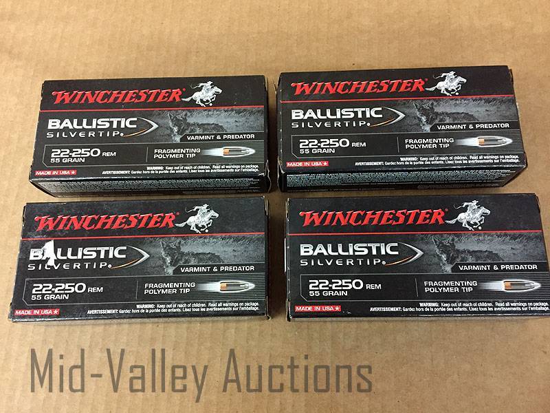 lot 65 image: 4 Boxes WInchester 22-250 REM 55 Grain