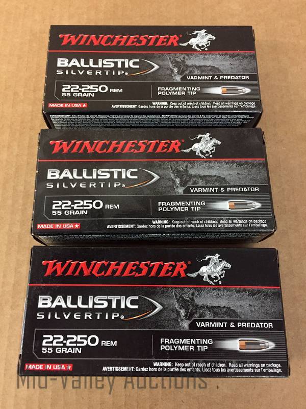 lot 66 image: 3 Boxes WInchester 22-250 REM 55 Grain