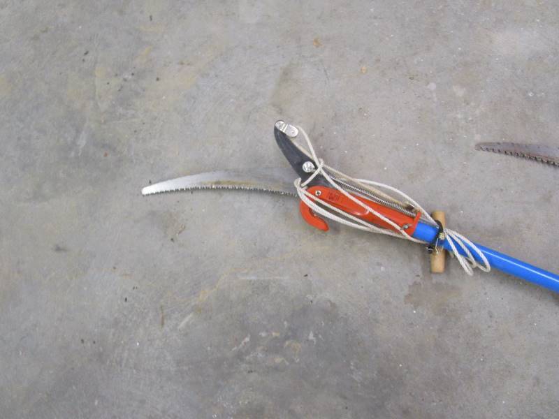 lot 166 image: Tree Saws