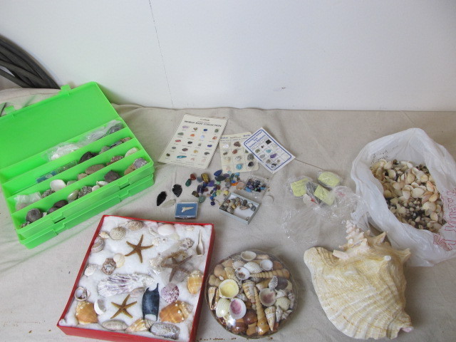 lot 89 image: Large Lot of Assorted Rocks, Stones & Shells
