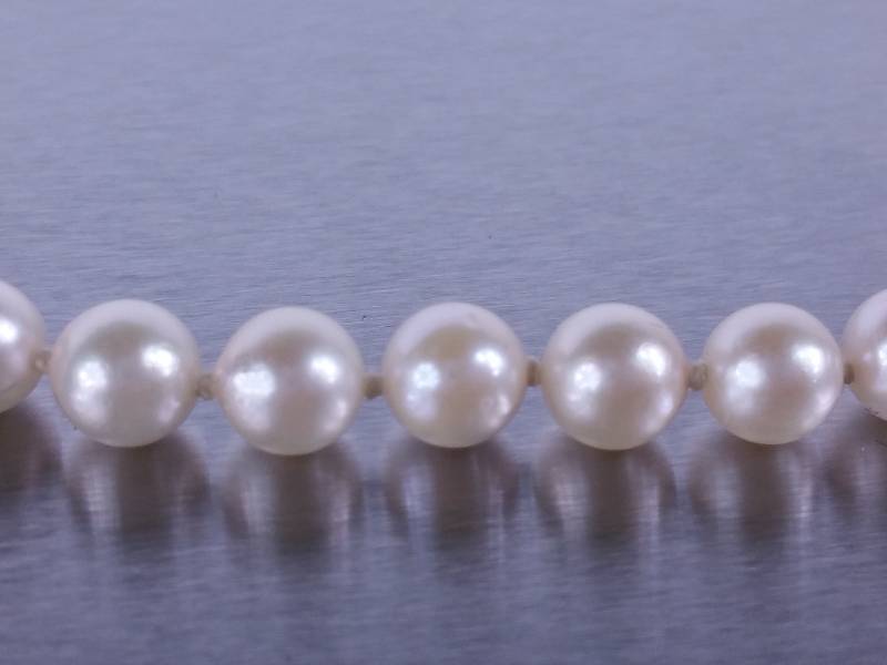 lot 18 image: High End Pearl Necklace in 14k Gold - $3650 Retail