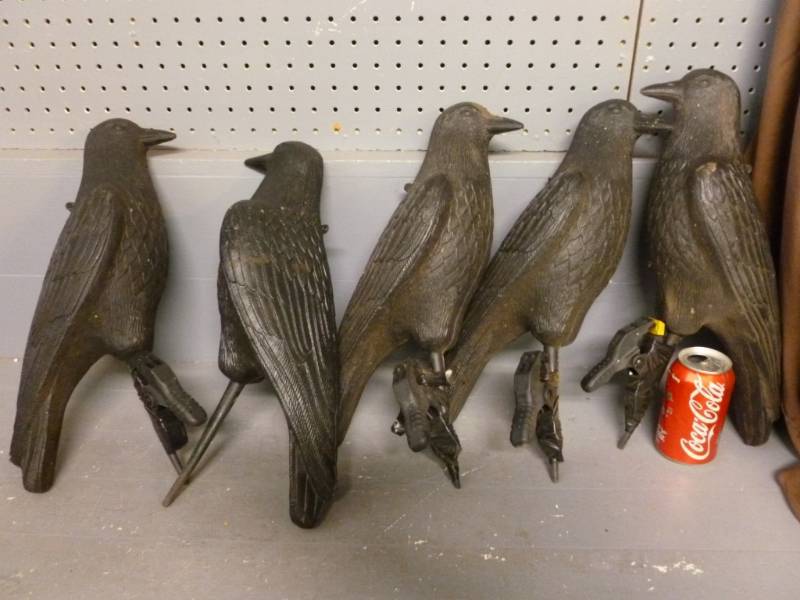 Crow Decoys