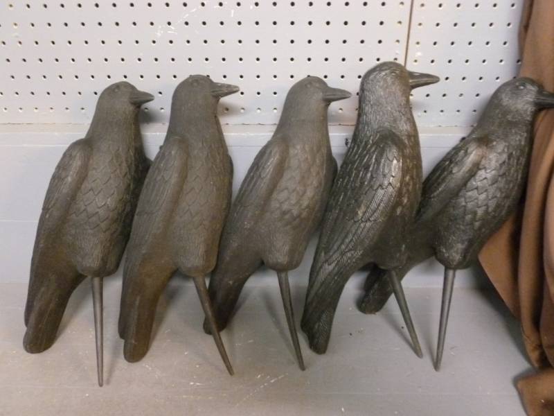 Crow Decoys